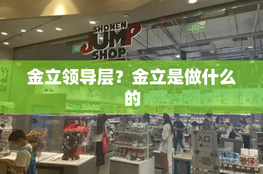 金立领导层？金立是做什么的