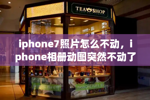 iphone7照片怎么不动，iphone相册动图突然不动了