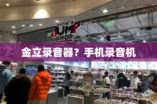 金立录音器？手机录音机-第1张图片-星选测评