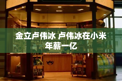 金立卢伟冰 卢伟冰在小米年薪一亿-第1张图片-星选测评