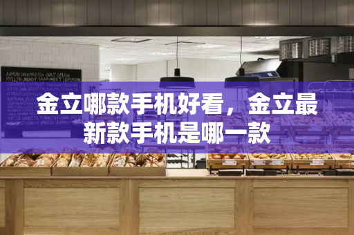 金立哪款手机好看，金立最新款手机是哪一款-第1张图片-星选测评