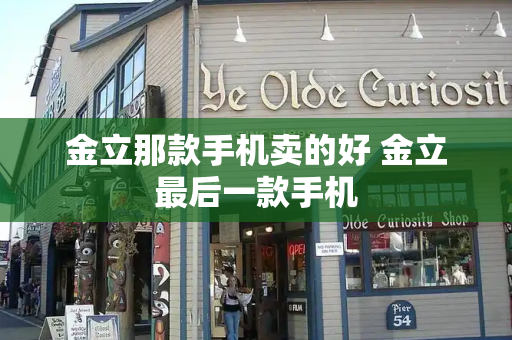 金立那款手机卖的好 金立最后一款手机