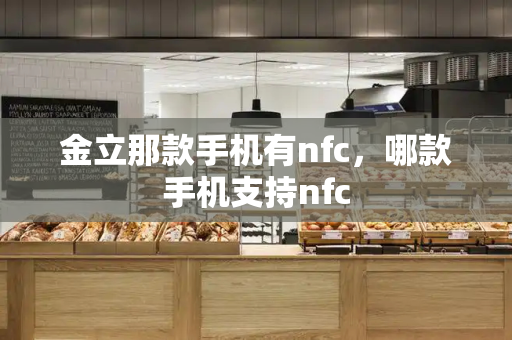 金立那款手机有nfc，哪款手机支持nfc-第1张图片-星选测评