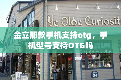 金立那款手机支持otg，手机型号支持OTG吗