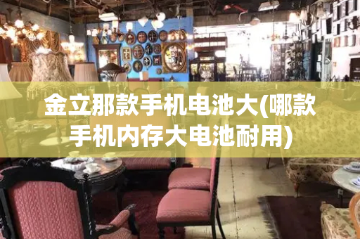 金立那款手机电池大(哪款手机内存大电池耐用)