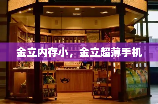 金立内存小，金立超薄手机-第1张图片-星选测评