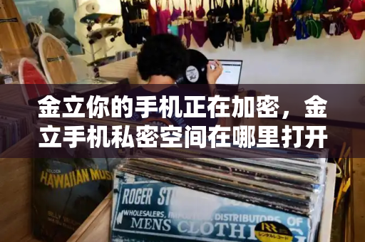 金立你的手机正在加密，金立手机私密空间在哪里打开