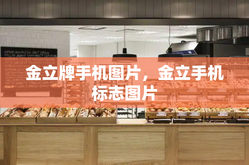 金立牌手机图片，金立手机标志图片