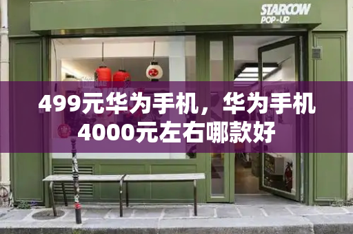 499元华为手机，华为手机4000元左右哪款好-第1张图片-星选测评