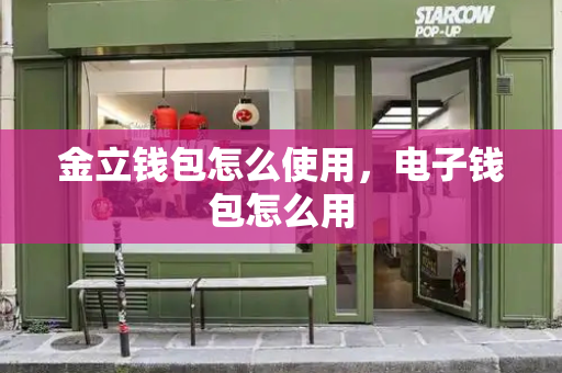 金立钱包怎么使用，电子钱包怎么用
