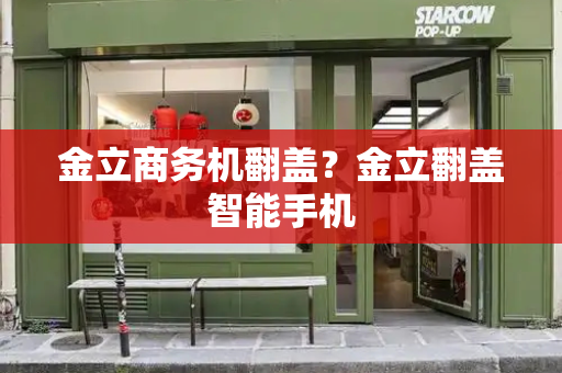 金立商务机翻盖？金立翻盖智能手机-第1张图片-星选测评