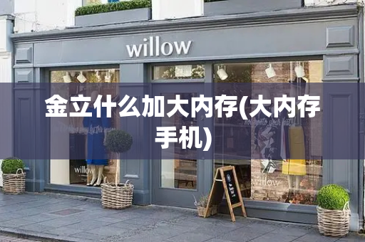 金立什么加大内存(大内存手机)
