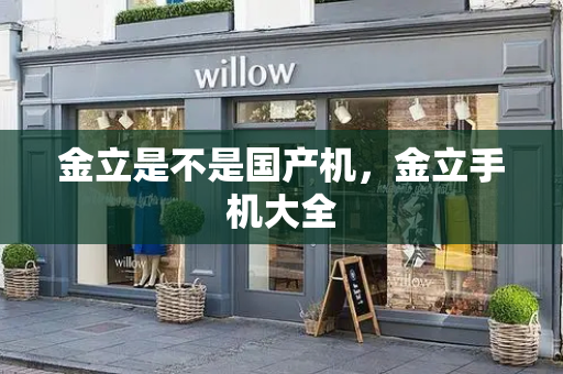 金立是不是国产机，金立手机大全-第1张图片-星选测评