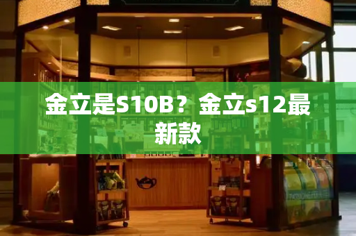 金立是S10B？金立s12最新款
