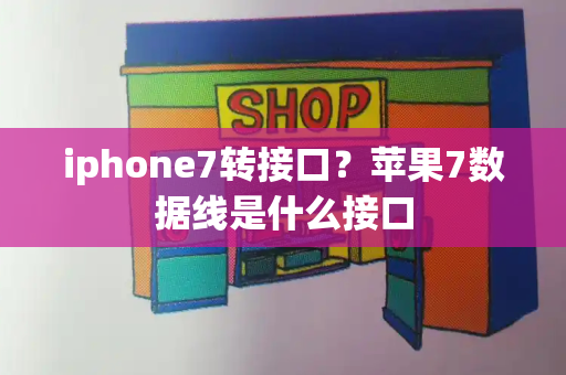 iphone7转接口？苹果7数据线是什么接口-第1张图片-星选测评