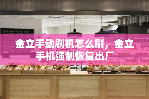 金立手动刷机怎么刷，金立手机强制恢复出厂