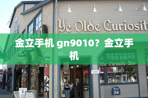 金立手机 gn9010？金立手机-第1张图片-星选测评
