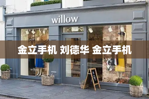 金立手机 刘德华 金立手机-第1张图片-星选测评