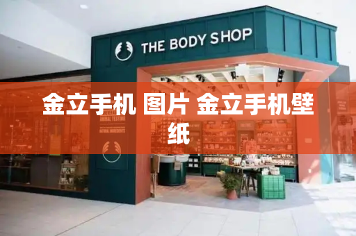 金立手机 图片 金立手机壁纸