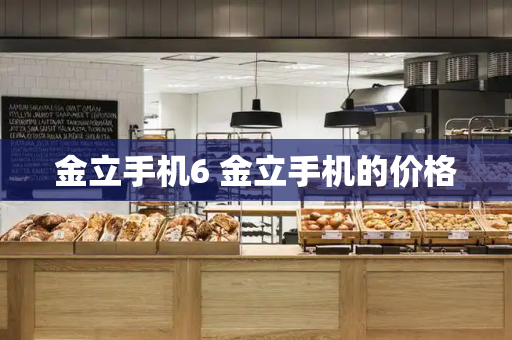 金立手机6 金立手机的价格-第1张图片-星选测评