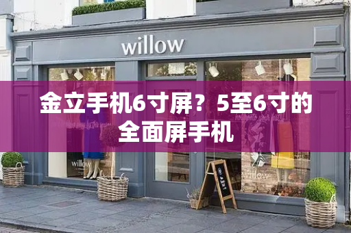 金立手机6寸屏？5至6寸的全面屏手机-第1张图片-星选测评