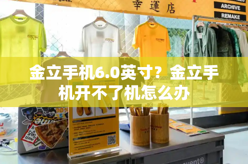 金立手机6.0英寸？金立手机开不了机怎么办-第1张图片-星选测评