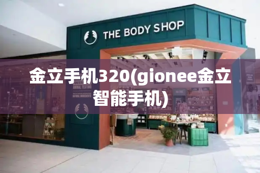 金立手机320(gionee金立智能手机)-第1张图片-星选测评