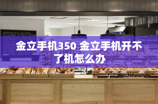 金立手机350 金立手机开不了机怎么办-第1张图片-星选测评