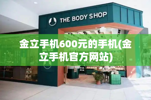 金立手机600元的手机(金立手机官方网站)-第1张图片-星选测评