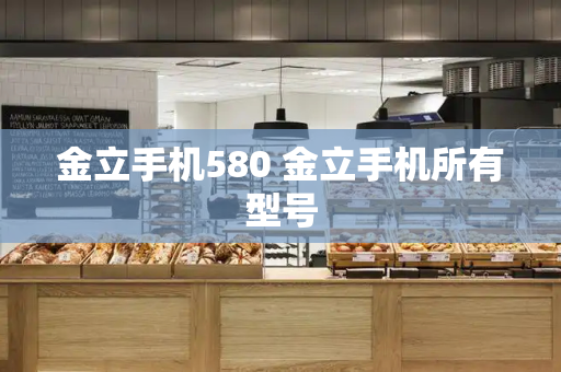 金立手机580 金立手机所有型号-第1张图片-星选测评