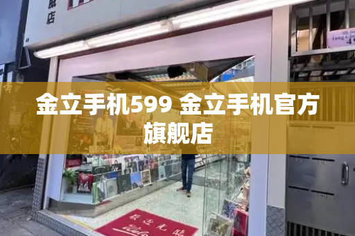 金立手机599 金立手机官方旗舰店