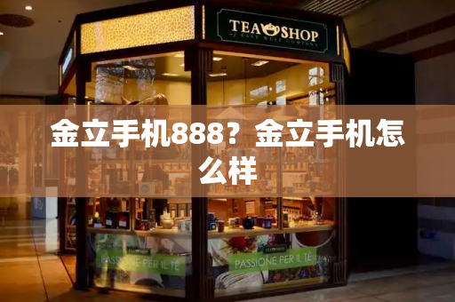 金立手机888？金立手机怎么样-第1张图片-星选测评