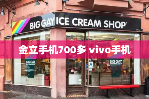 金立手机700多 vivo手机-第1张图片-星选测评