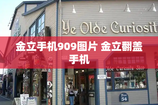 金立手机909图片 金立翻盖手机-第1张图片-星选测评