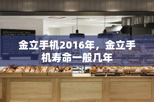 金立手机2016年，金立手机寿命一般几年-第1张图片-星选测评