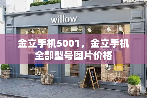 金立手机5001，金立手机全部型号图片价格-第1张图片-星选测评