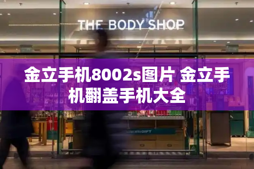 金立手机8002s图片 金立手机翻盖手机大全