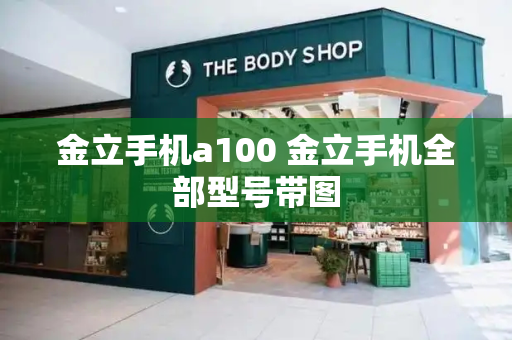 金立手机a100 金立手机全部型号带图-第1张图片-星选测评