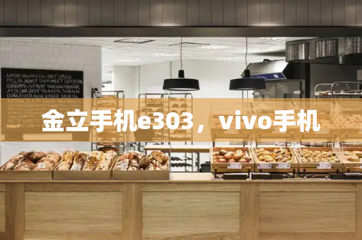 金立手机e303，vivo手机