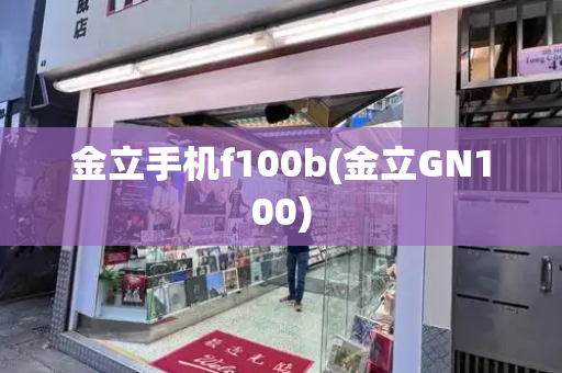 金立手机f100b(金立GN100)-第1张图片-星选测评