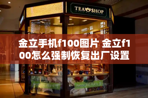 金立手机f100图片 金立f100怎么强制恢复出厂设置-第1张图片-星选测评