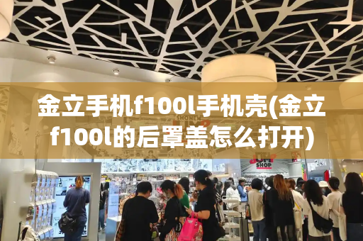 金立手机f100l手机壳(金立f100l的后罩盖怎么打开)-第1张图片-星选测评