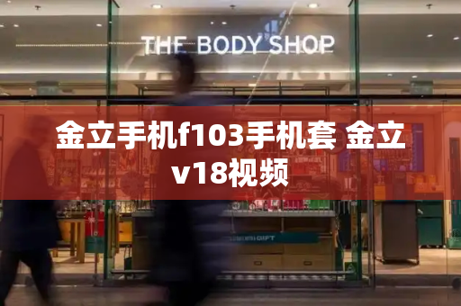 金立手机f103手机套 金立v18视频-第1张图片-星选测评