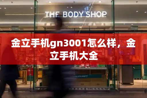 金立手机gn3001怎么样，金立手机大全-第1张图片-星选测评