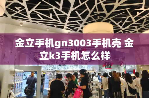 金立手机gn3003手机壳 金立k3手机怎么样-第1张图片-星选测评