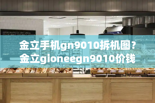 金立手机gn9010拆机图？金立gioneegn9010价钱