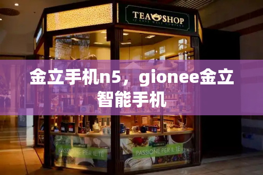 金立手机n5，gionee金立智能手机-第1张图片-星选测评