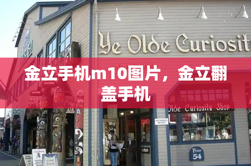 金立手机m10图片，金立翻盖手机