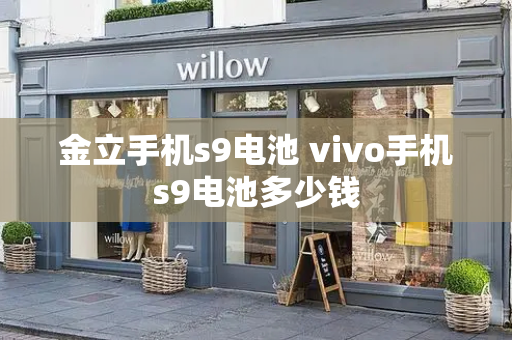 金立手机s9电池 vivo手机s9电池多少钱-第1张图片-星选测评