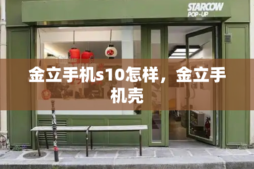 金立手机s10怎样，金立手机壳-第1张图片-星选测评